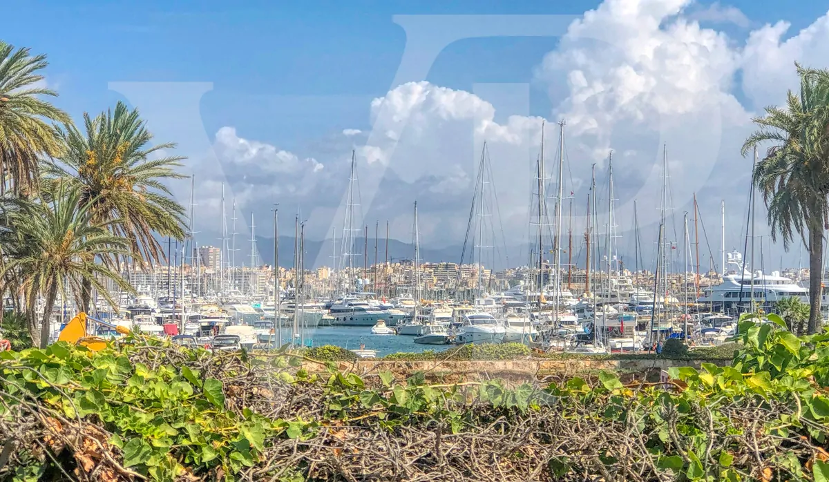 luxuriöse-komplett-renovierte-Wohnung-in-einem-gebäude-an-der-strandpromenade-von-palma-de-mallorca