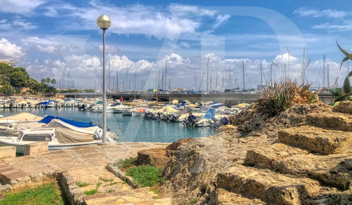 luxuriöse-komplett-renovierte-Wohnung-in-einem-gebäude-an-der-strandpromenade-von-palma-de-mallorca