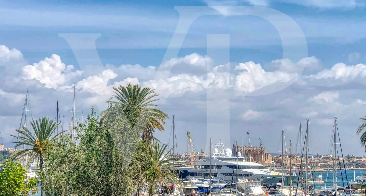 luxuriöse-komplett-renovierte-Wohnung-in-einem-gebäude-an-der-strandpromenade-von-palma-de-mallorca