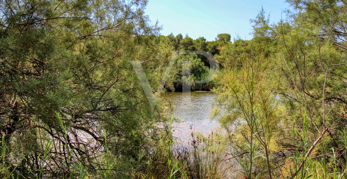 spectacular-luxury-villa-with-swimming-pool-for-sale-in-the-urbanisation-son-bauló-in-can-picafort