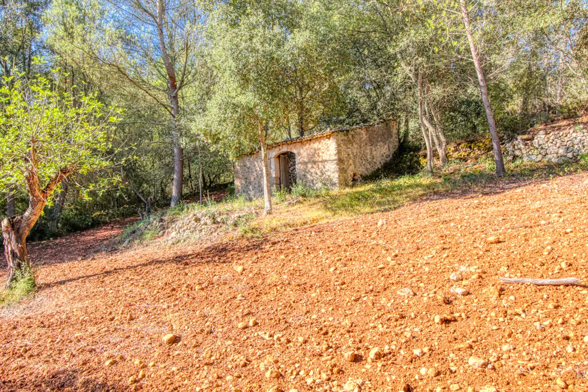 Belle-finca-rustique-avec-permis-de-construire-approuvé-pour-construire-une-maison-et-une-piscine-à-Campanet