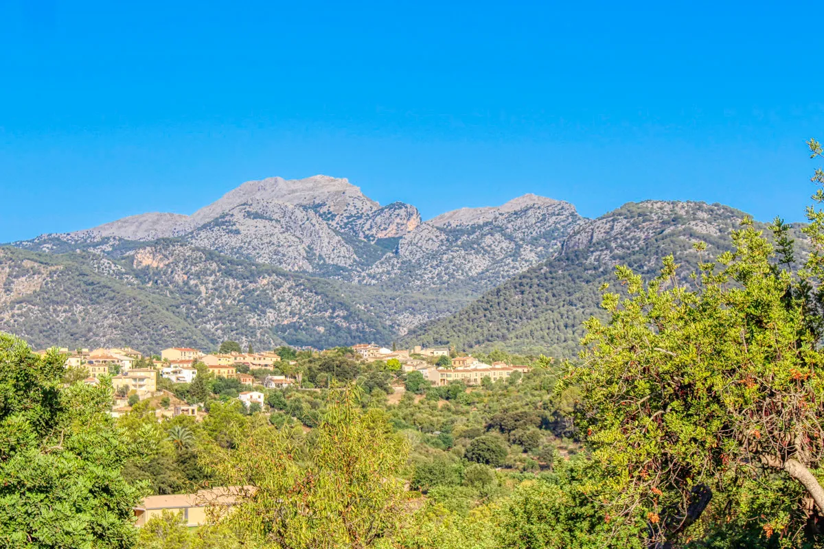 Belle-finca-rustique-avec-permis-de-construire-approuvé-pour-construire-une-maison-et-une-piscine-à-Campanet