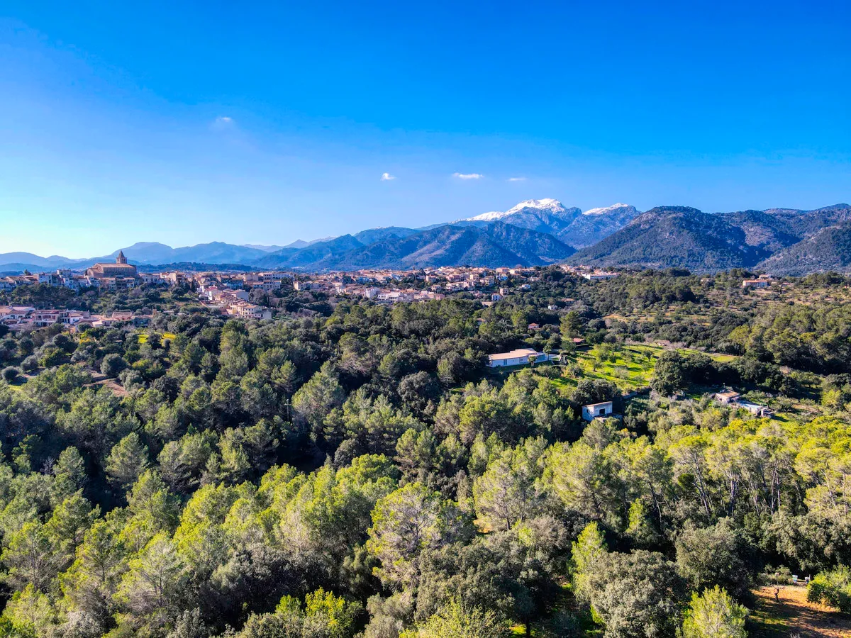 Belle-finca-rustique-avec-permis-de-construire-approuvé-pour-construire-une-maison-et-une-piscine-à-Campanet