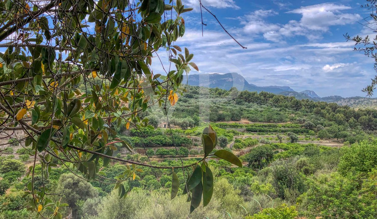 zu-verkaufen-finca-exklusives-anwesen-von-fast-15-hektar-in-einzigartigen-enklave-in-den-bergen-die-den-hafen-von-sóller