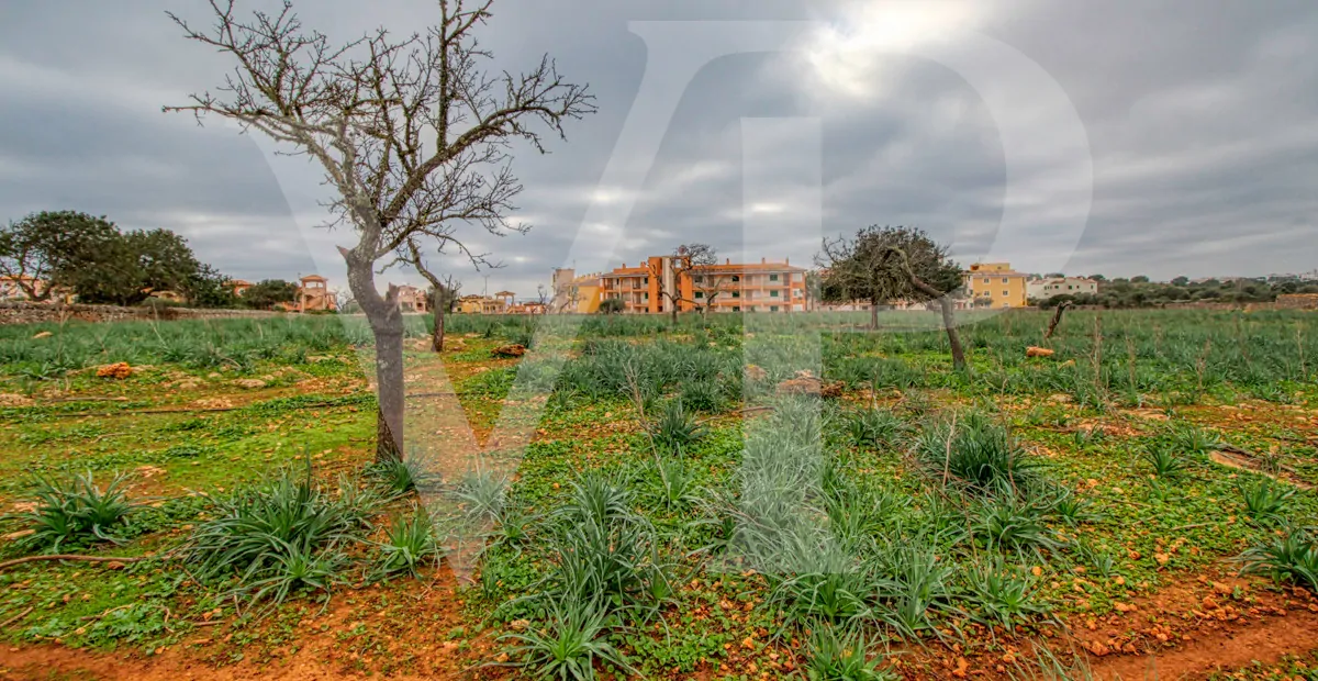 fantastisches-traditionelles-haus-in-der-nähe-von-cala-anguila-an-der-levante-Küste-in-porto-cristo-zu-verkaufen
