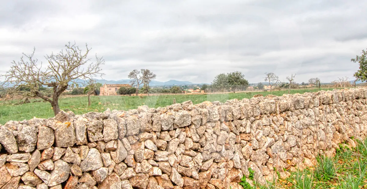 fantastisches-traditionelles-haus-in-der-nähe-von-cala-anguila-an-der-levante-Küste-in-porto-cristo-zu-verkaufen