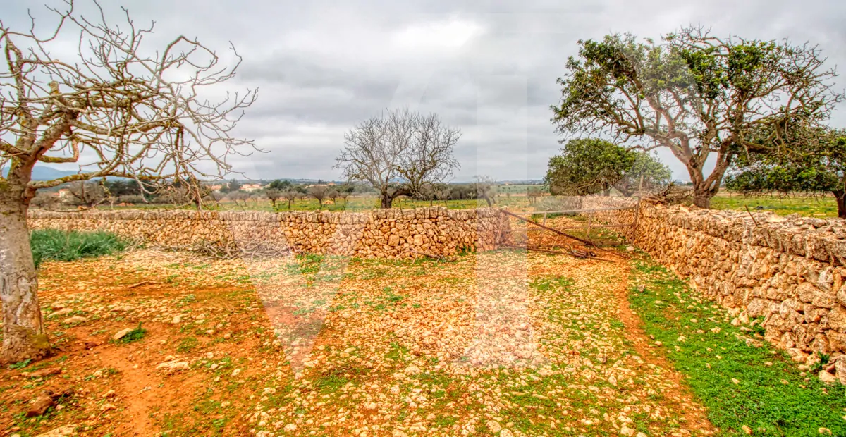 fantastisches-traditionelles-haus-in-der-nähe-von-cala-anguila-an-der-levante-Küste-in-porto-cristo-zu-verkaufen
