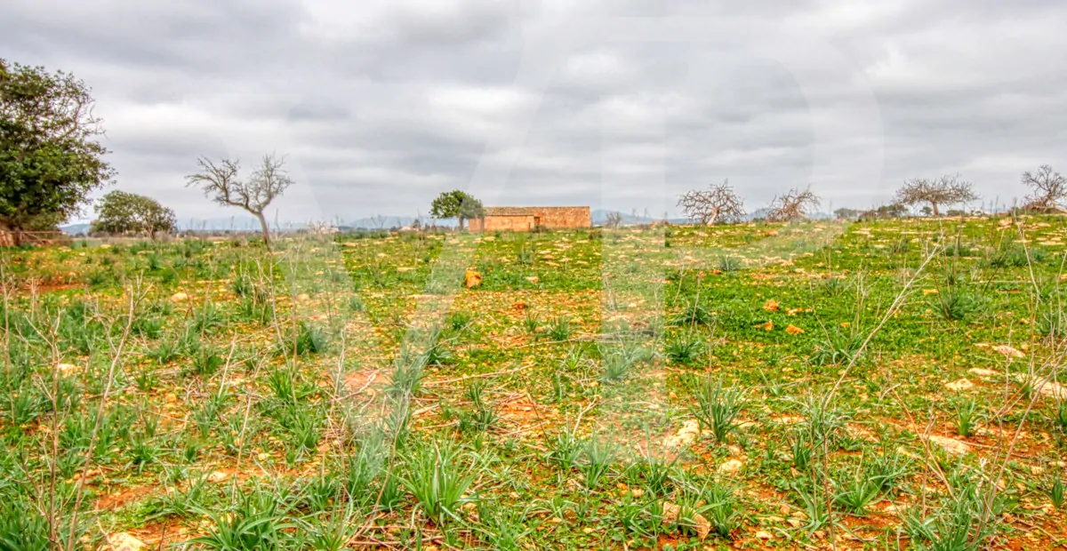 fantastisches-traditionelles-haus-in-der-nähe-von-cala-anguila-an-der-levante-Küste-in-porto-cristo-zu-verkaufen