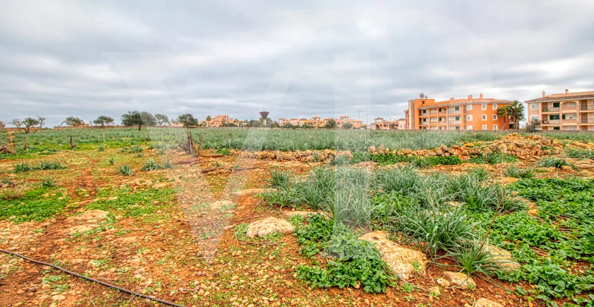fantastisches-traditionelles-haus-in-der-nähe-von-cala-anguila-an-der-levante-Küste-in-porto-cristo-zu-verkaufen