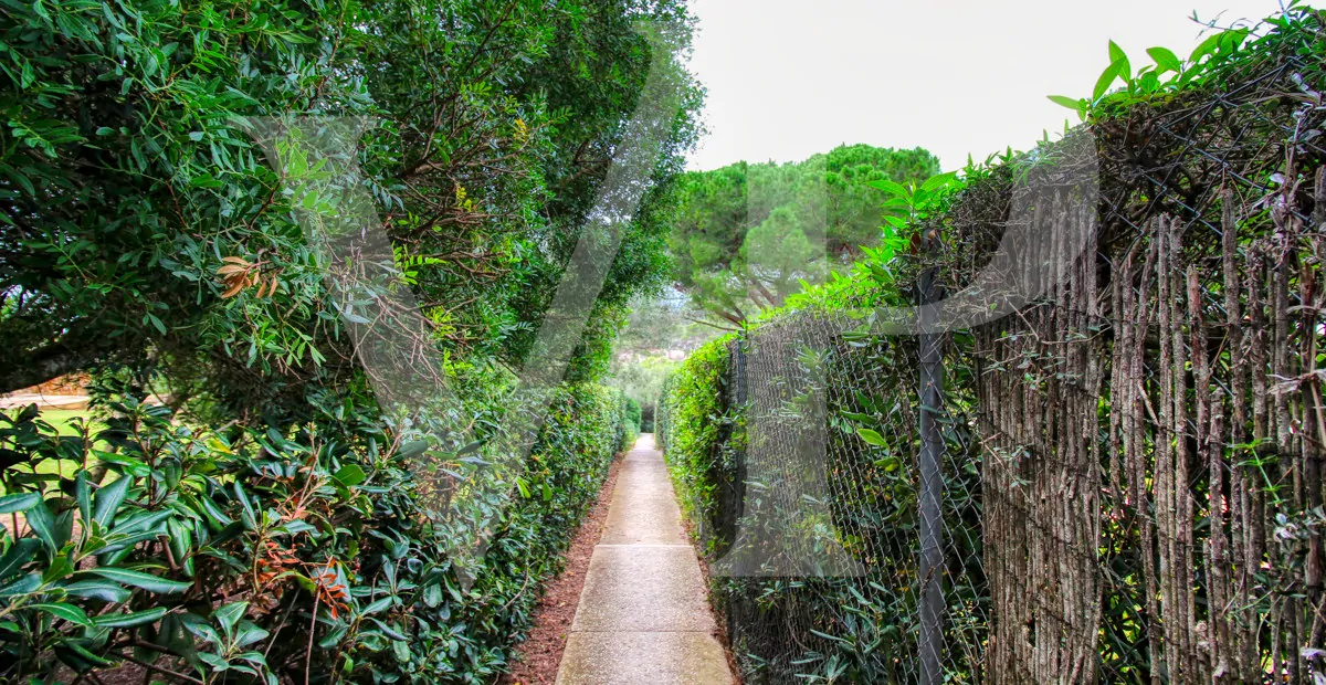 fantastisches-traditionelles-haus-in-der-nähe-von-cala-anguila-an-der-levante-Küste-in-porto-cristo-zu-verkaufen