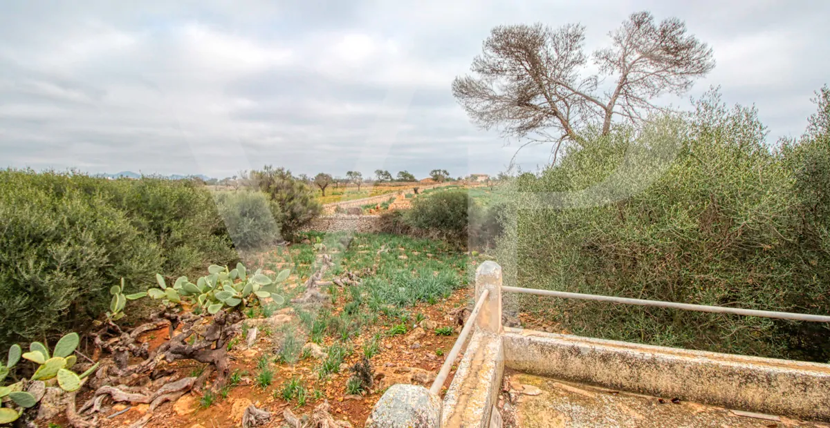 fantastisches-traditionelles-haus-in-der-nähe-von-cala-anguila-an-der-levante-Küste-in-porto-cristo-zu-verkaufen