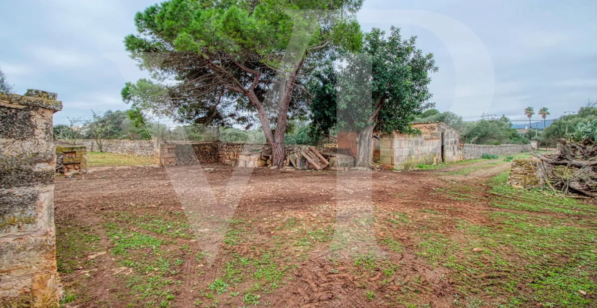 fantastisches-traditionelles-haus-in-der-nähe-von-cala-anguila-an-der-levante-Küste-in-porto-cristo-zu-verkaufen