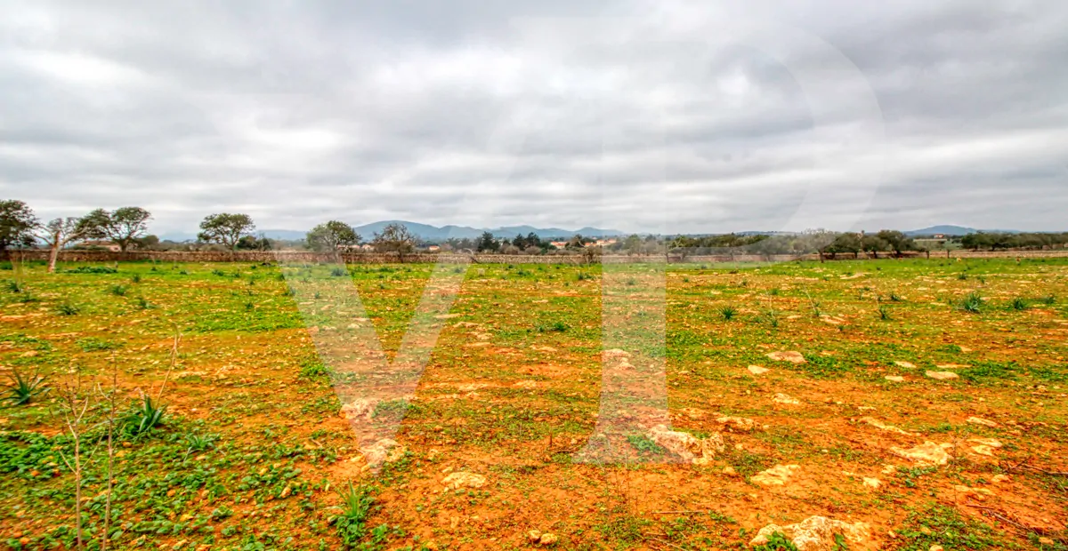 fantastisches-traditionelles-haus-in-der-nähe-von-cala-anguila-an-der-levante-Küste-in-porto-cristo-zu-verkaufen
