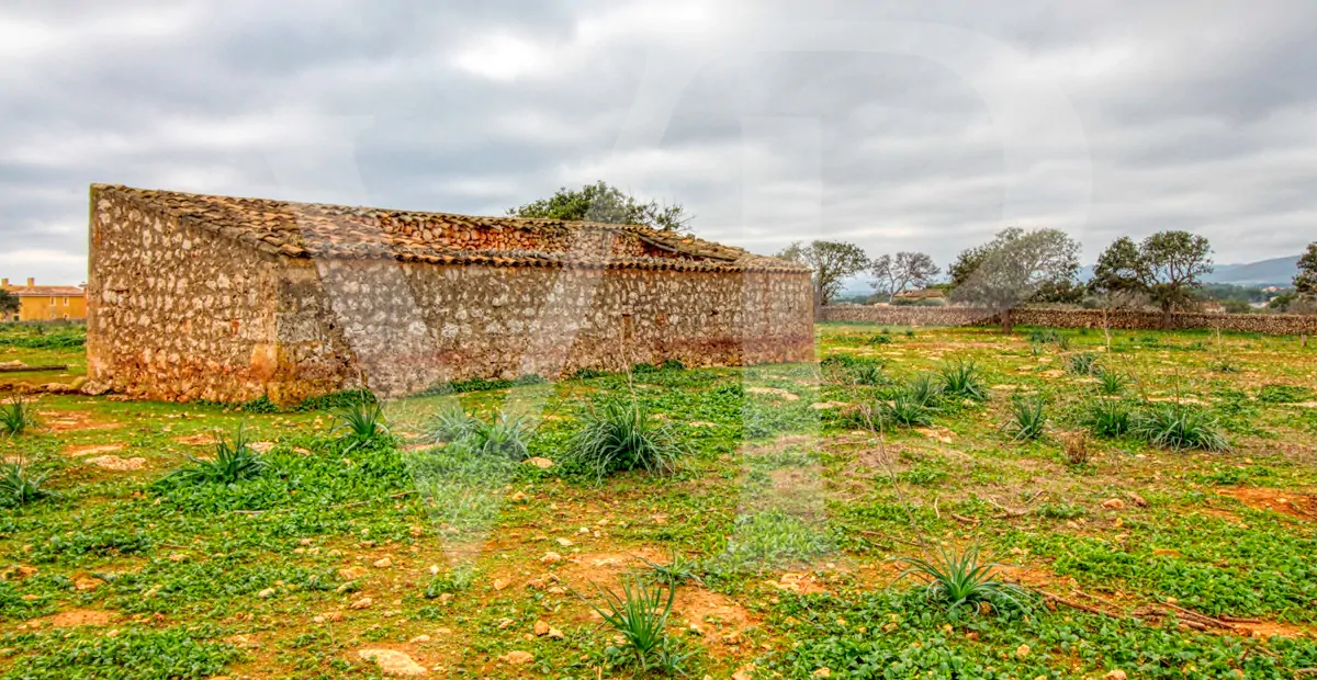 fantastisches-traditionelles-haus-in-der-nähe-von-cala-anguila-an-der-levante-Küste-in-porto-cristo-zu-verkaufen