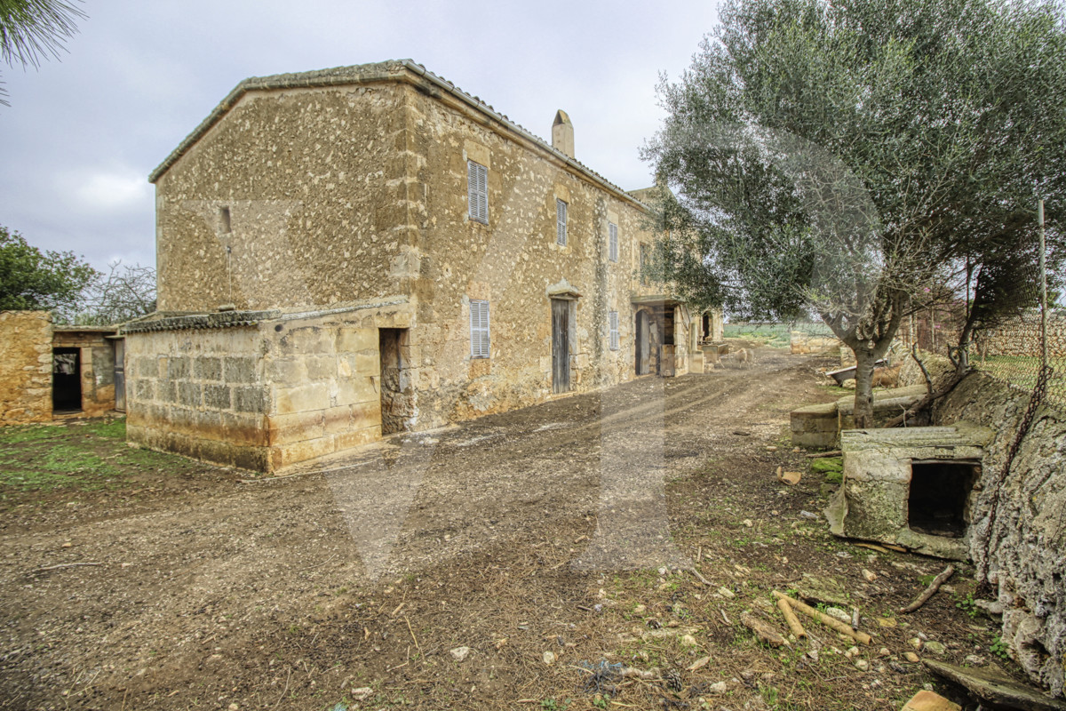 fantastisches-traditionelles-haus-in-der-nähe-von-cala-anguila-an-der-levante-Küste-in-porto-cristo-zu-verkaufen