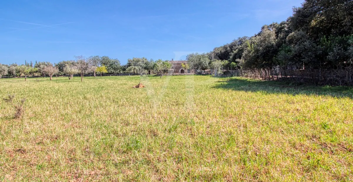 Schöne rustikale Finca zum Verkauf mit traditionellem Haus zu renovieren, gut gelegen in der Nähe von Pollença