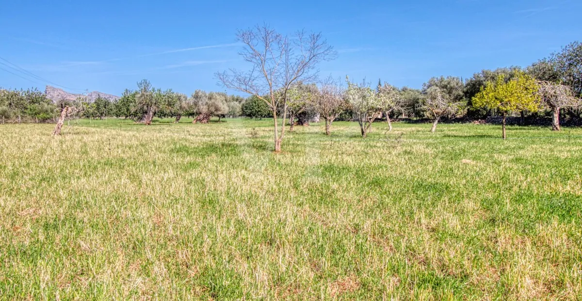 Schöne rustikale Finca zum Verkauf mit traditionellem Haus zu renovieren, gut gelegen in der Nähe von Pollença