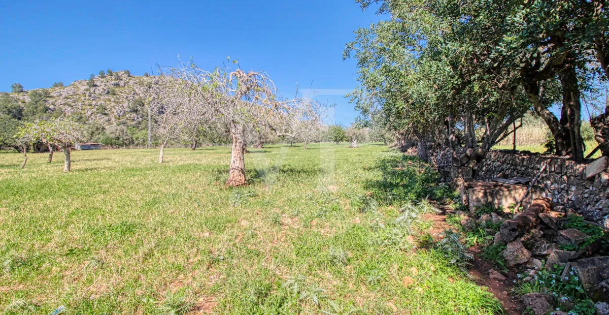 Schöne rustikale Finca zum Verkauf mit traditionellem Haus zu renovieren, gut gelegen in der Nähe von Pollença