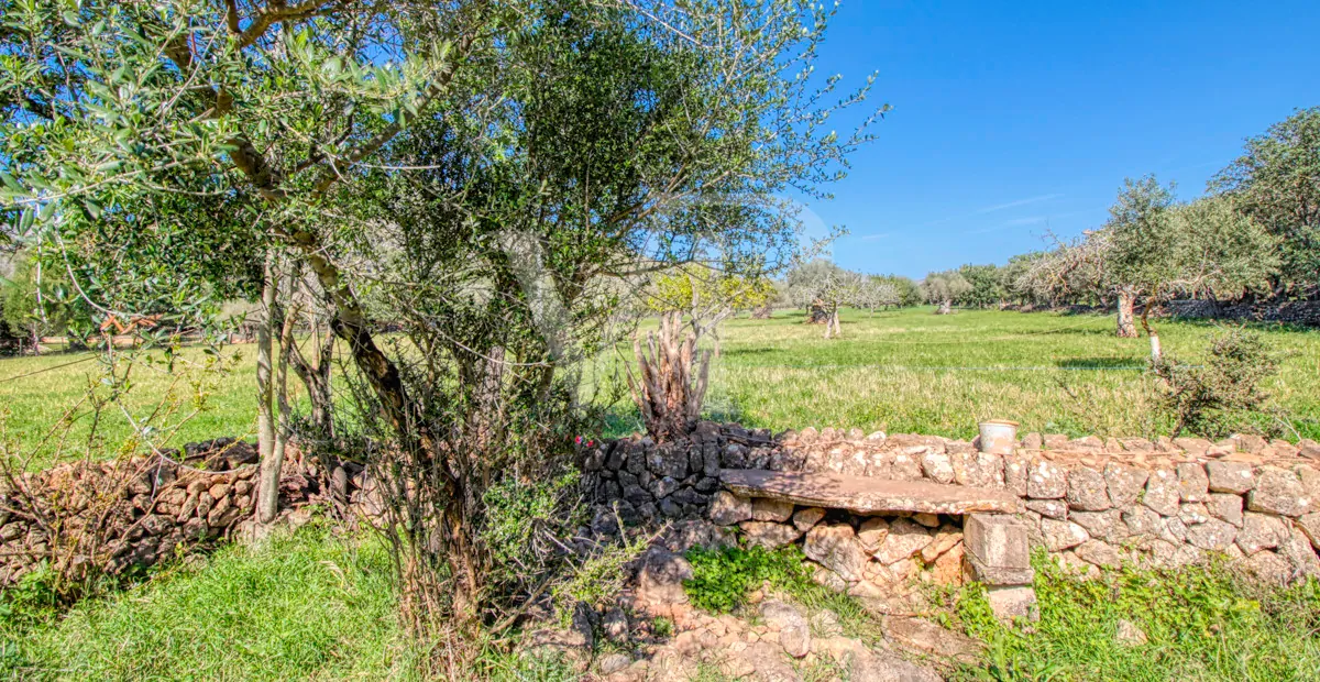 Schöne rustikale Finca zum Verkauf mit traditionellem Haus zu renovieren, gut gelegen in der Nähe von Pollença
