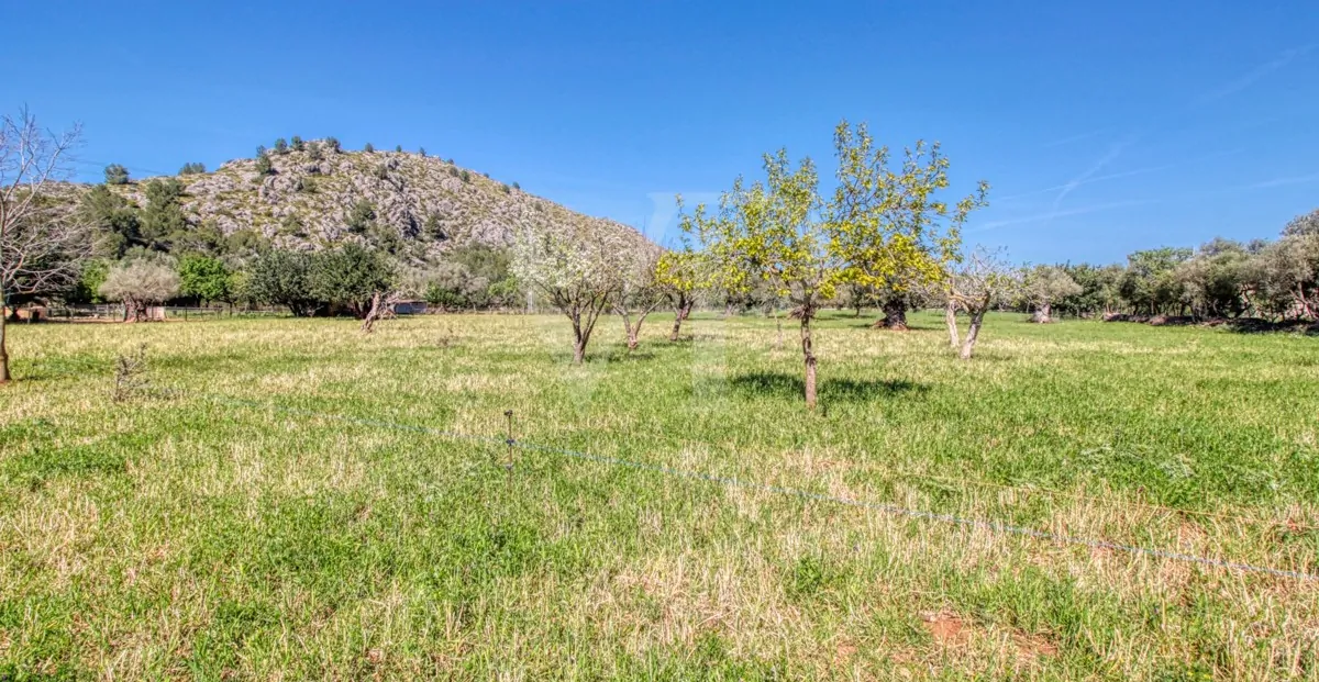 Schöne rustikale Finca zum Verkauf mit traditionellem Haus zu renovieren, gut gelegen in der Nähe von Pollença