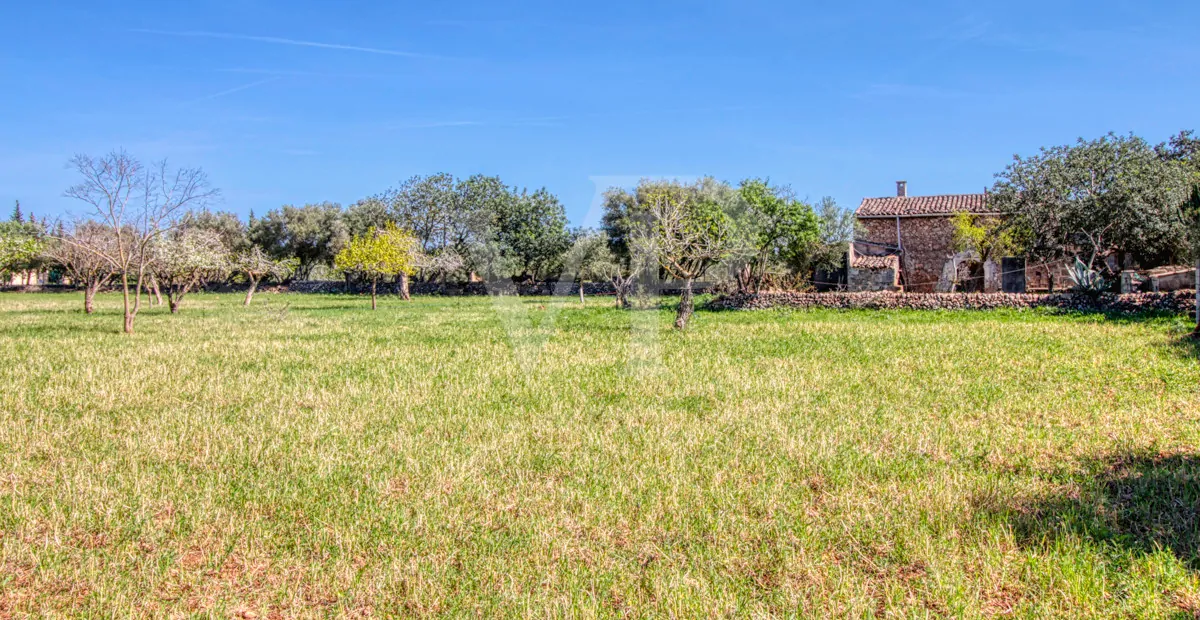 Schöne rustikale Finca zum Verkauf mit traditionellem Haus zu renovieren, gut gelegen in der Nähe von Pollença