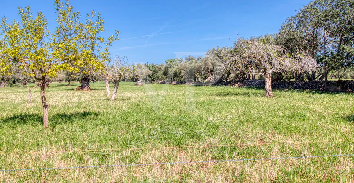 Schöne rustikale Finca zum Verkauf mit traditionellem Haus zu renovieren, gut gelegen in der Nähe von Pollença