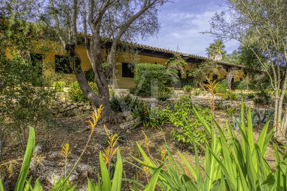 Zum Verkauf steht ein herrliches Landhotel aus dem 18. Jahrhundert in natürlicher Umgebung in Playa de Muro, Mallorca