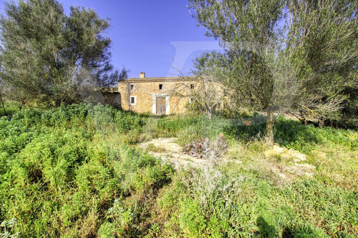 Precioso casa rústica para reformar en parcela de 3,8 hectáreas entre Manacor y Calas de Mallorca