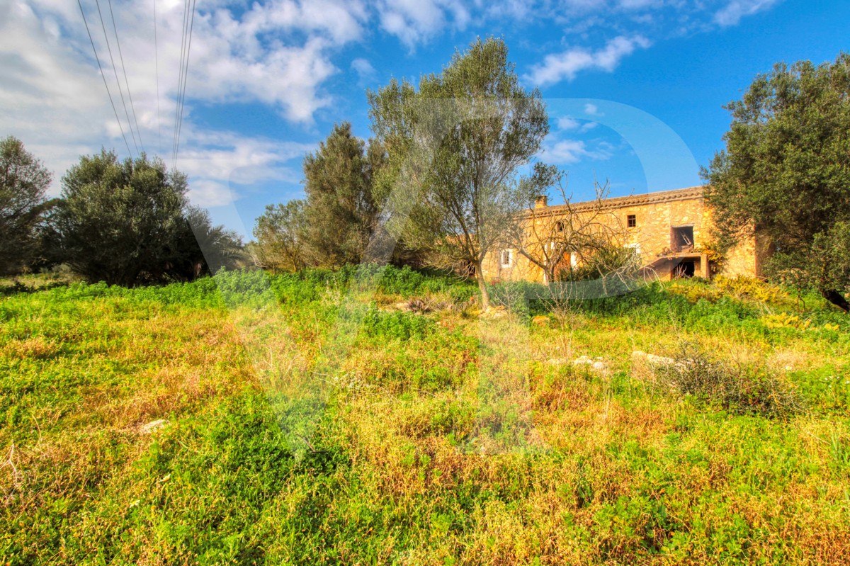 Precioso casa rústica para reformar en parcela de 3,8 hectáreas entre Manacor y Calas de Mallorca