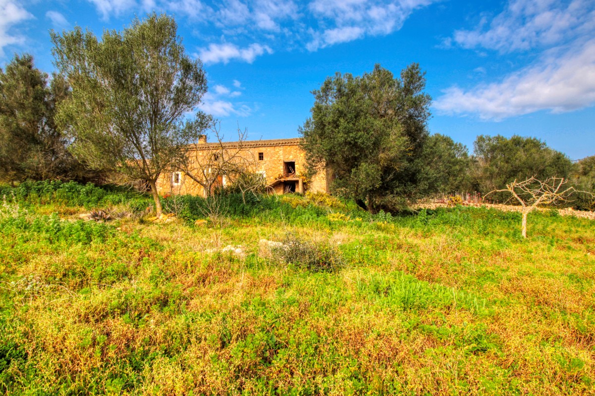 Precioso casa rústica para reformar en parcela de 3,8 hectáreas entre Manacor y Calas de Mallorca