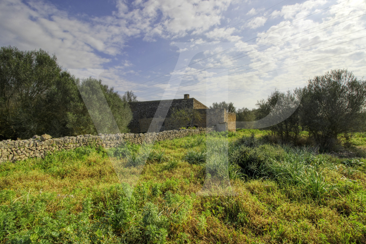 Precioso casa rústica para reformar en parcela de 3,8 hectáreas entre Manacor y Calas de Mallorca