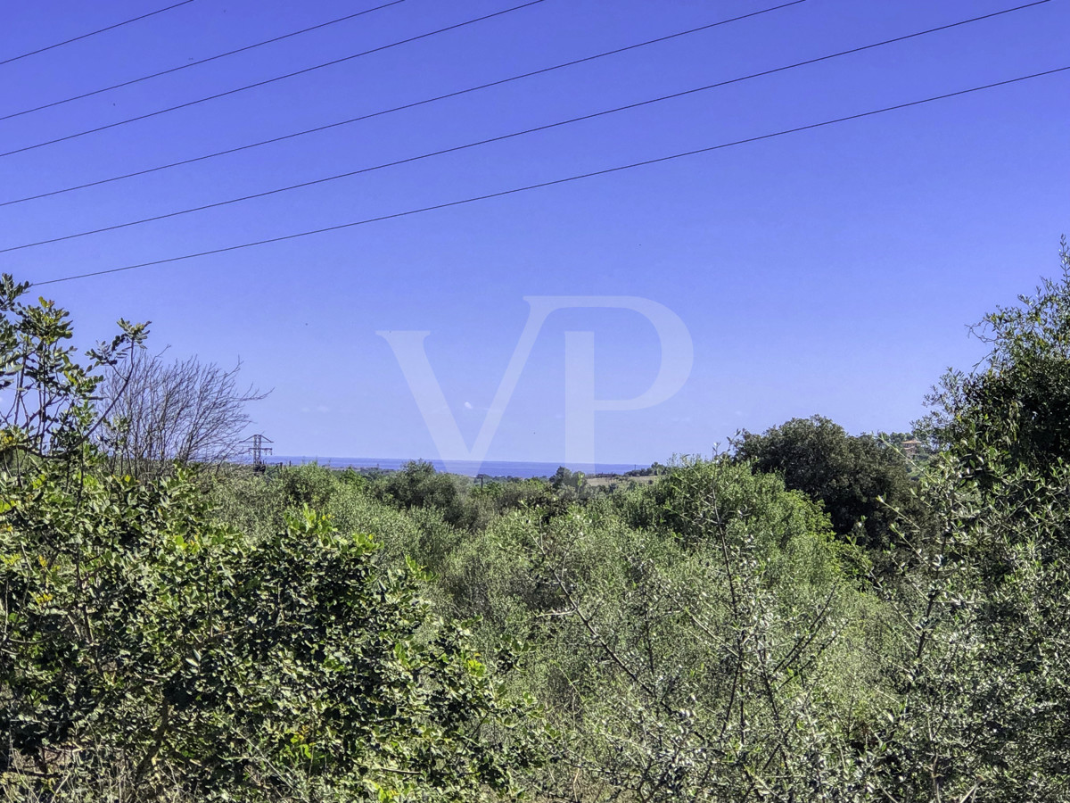 Precioso casa rústica para reformar en parcela de 3,8 hectáreas entre Manacor y Calas de Mallorca