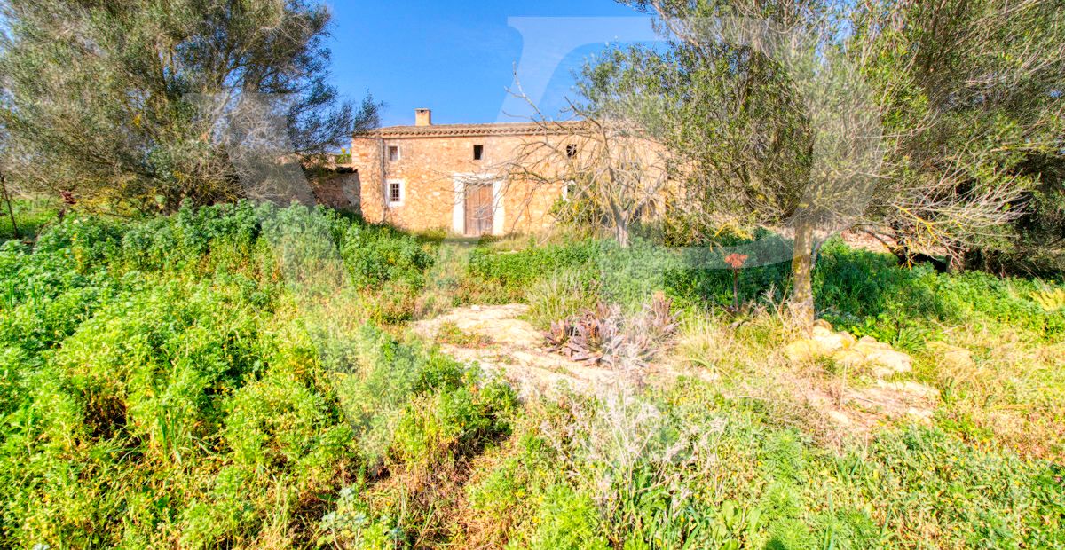 Schönes rustikales Haus zum Renovieren auf einem Grundstück von 3,8 Hektar zwischen Manacor und Calas de Mallorca