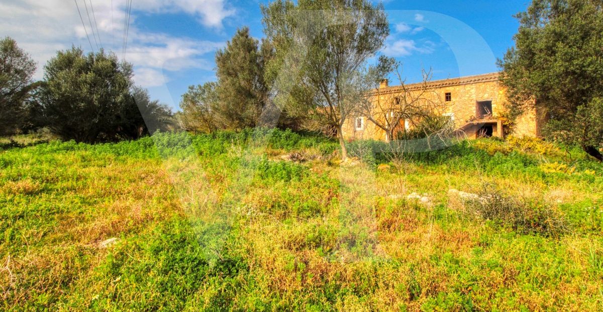 Schönes rustikales Haus zum Renovieren auf einem Grundstück von 3,8 Hektar zwischen Manacor und Calas de Mallorca