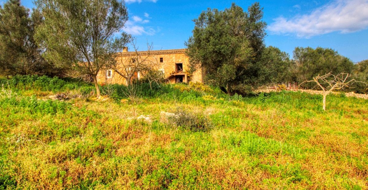 Schönes rustikales Haus zum Renovieren auf einem Grundstück von 3,8 Hektar zwischen Manacor und Calas de Mallorca