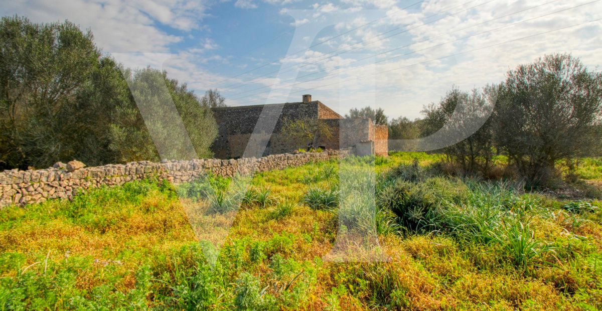 Schönes rustikales Haus zum Renovieren auf einem Grundstück von 3,8 Hektar zwischen Manacor und Calas de Mallorca