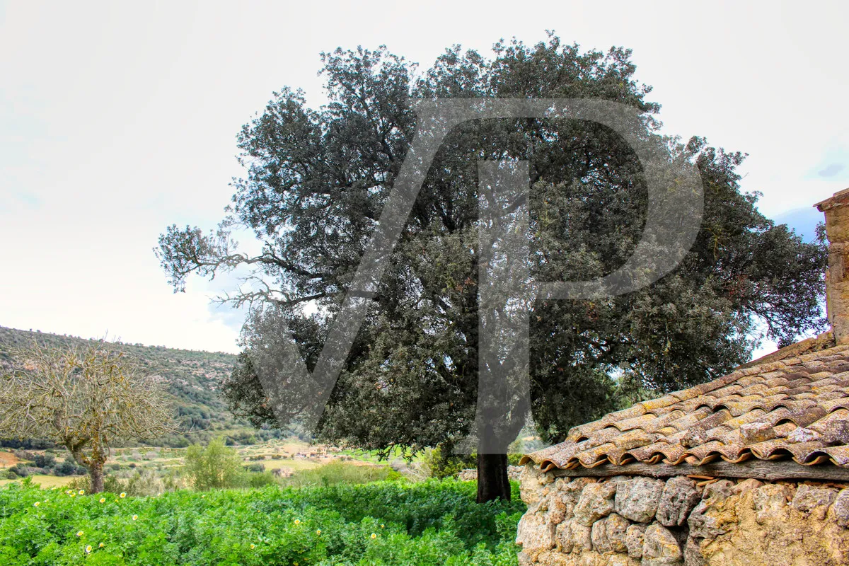 Spektakuläre Finca mit fantastischem mallorquinischem Haus auf einem Hügel in Manacor