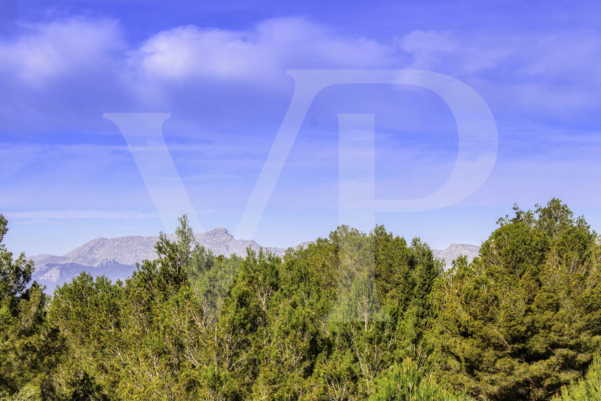 Inversión, venta de parcela urbana en esquina con muy buena orientación en Bonaire / Alcudia