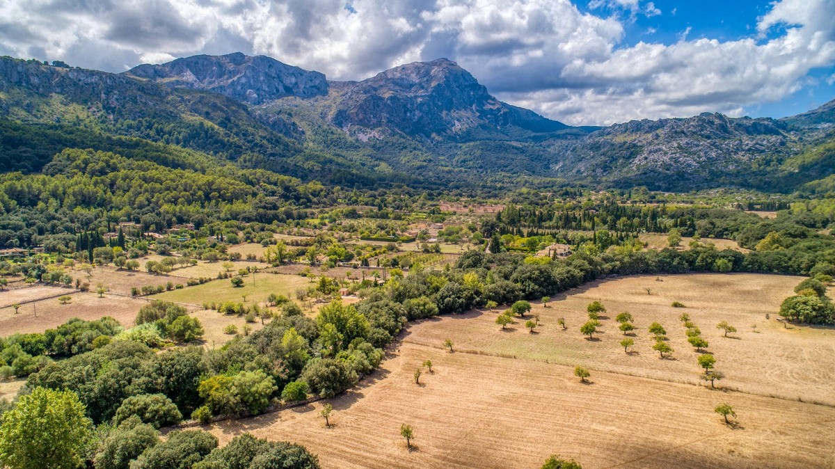 Finca bei Vall d'Axartell, Pollenca