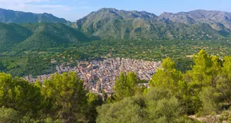 von_poll_real_estate_property_ES223461_image_3