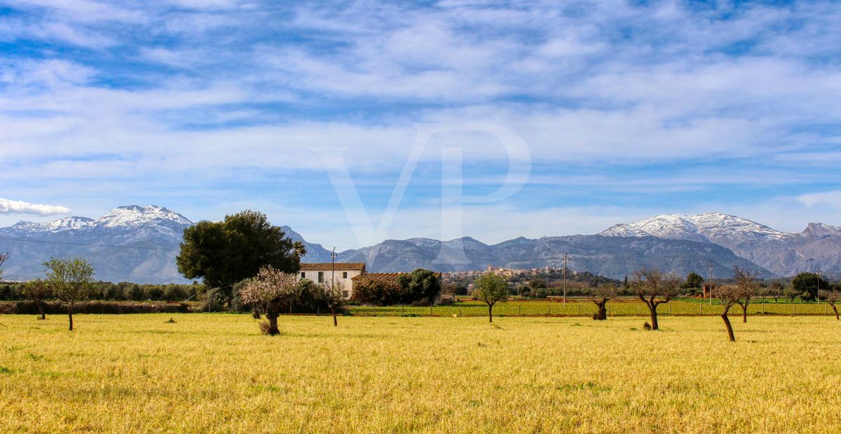 Investition, schöne Finca von fast 11,5 ha. gut gelegen nur 3 km von Búger in Sa Pobla