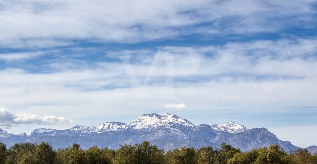 Investition, schöne Finca von fast 11,5 ha. gut gelegen nur 3 km von Búger in Sa Pobla