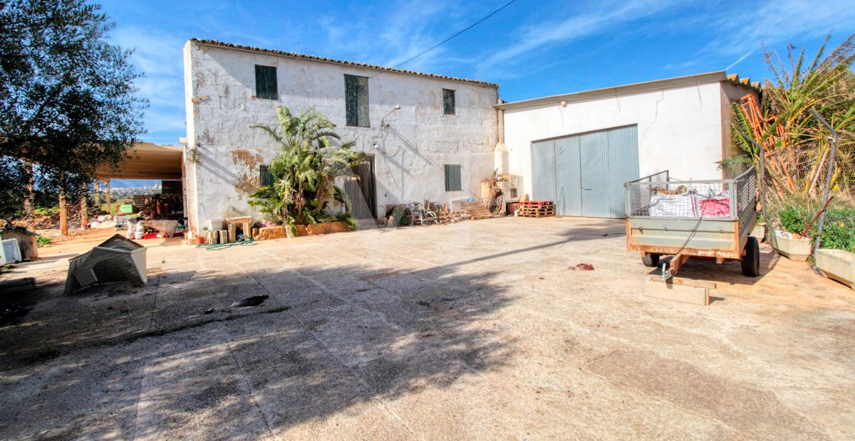 Investition, schöne Finca von fast 11,5 ha. gut gelegen nur 3 km von Búger in Sa Pobla