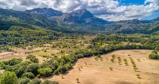 von_poll_real_estate_property_ES223461_image_20