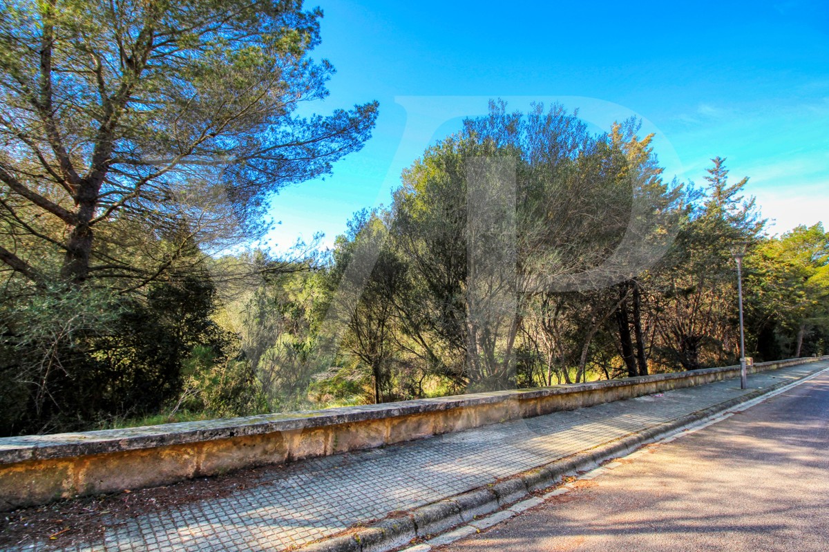 Inversión, venta de parcela urbana edificable con muy buena orientación en Bonaire / Alcudia