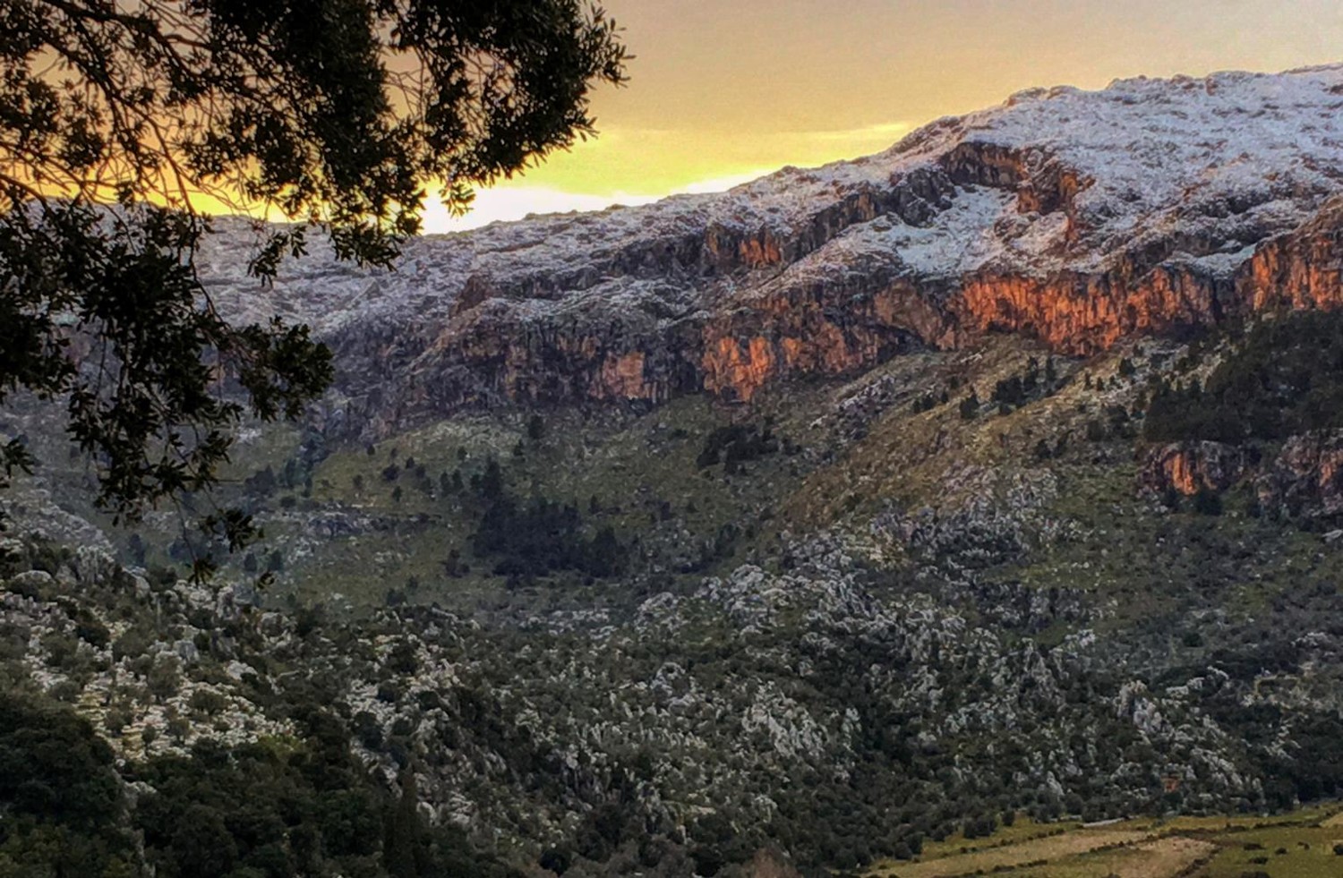 Fantastische-Finca-mit-Touristen-Lizenz