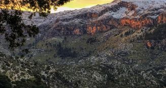 von_poll_real_estate_property_ES223508_image_8