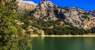von_poll_real_estate_property_ES223508_image_7