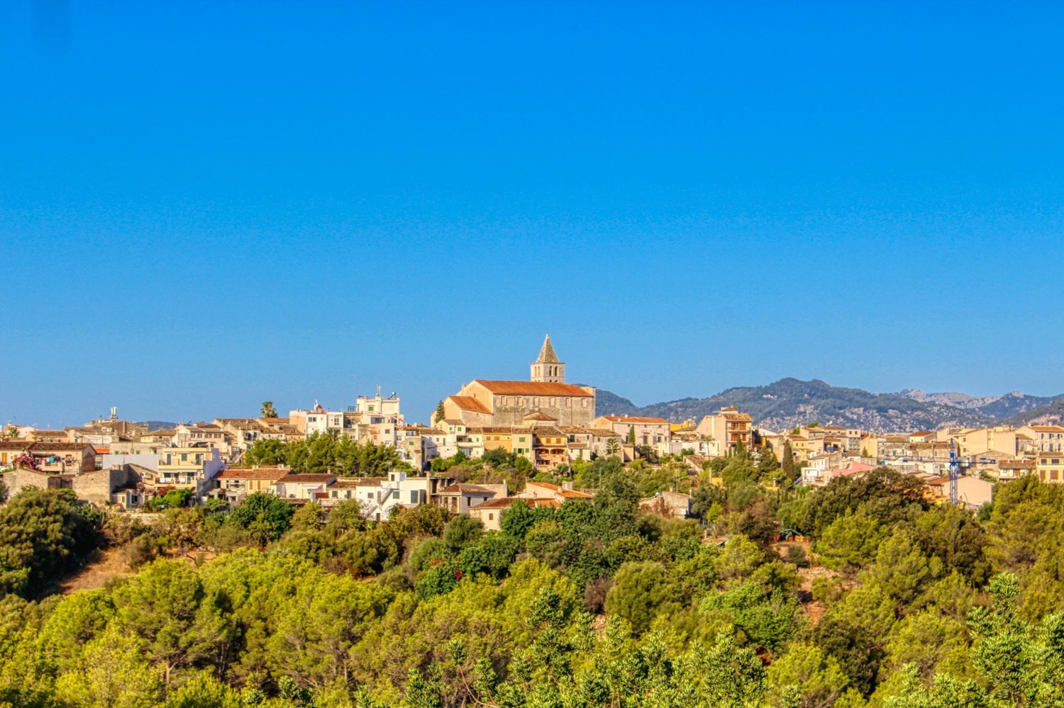 Fantastische-Finca-mit-Touristen-Lizenz