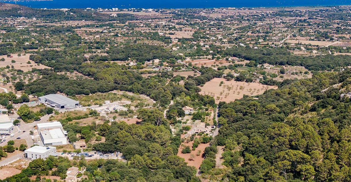 Aerial (3)